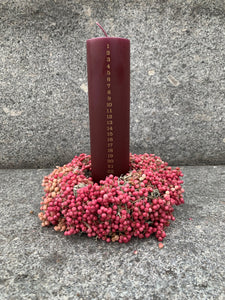 Christmas Countdown Combo - Rose Pepper - Large